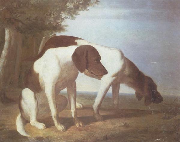 Jacques-Laurent Agasse Foxhounds in a Landscape oil painting picture